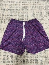 Chubbies Men's Aztec Print Swim Trunks, Size Large, 5.5" Inseam — listing 2