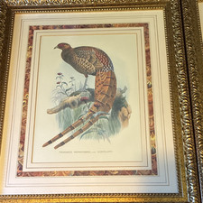 Framed Signed Wildlife Print of Bird/Pheasant on Red Background — listing 3