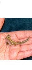 Vintage Castlecliff Gold-Tone Roadrunner Bird Figural Brooch — listing 3