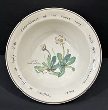 Noritake Country Diary of an Edwardian Lady Serving Platter Willow Warbler — listing 6