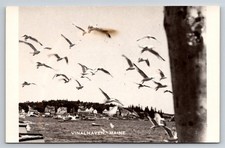 Maine Scenics Postcard - Carvers Harbor, Vinalhaven, Maine (Lobster Buoys) — listing 5