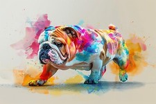 Colorful Pop-Art English Bulldog Canvas Print, Signed S. Wac — listing 6