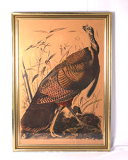 Framed Audubon 'Wild Turkey' Female and Young Bird Print, Plate VI — listing 2