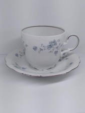Johann Haviland Bavaria Germany Porcelain Teacup and Saucer with Platinum Trim — listing 4