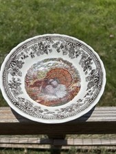 Queen's "Majestic Beauty" Turkey Transferware Coupe Bowl (Brown/Multicolor) — listing 6