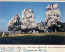 Framed Color Photograph of Wrapped Trees at Sunset (Christo 'Wrapped Trees' subject) — listing 2