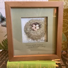 Marjolein Bastin Blue-Themed Nature Study Framed Print — listing 3