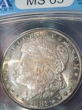 1881-S Morgan Silver Dollar ANACS MS65/65 — listing 3