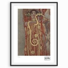 Gustav Klimt 'Hygieia' Framed Art Print (Detail from Medicine) — listing 2