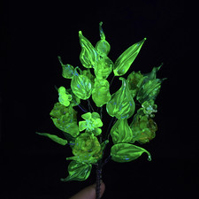 Uranium Vaseline Glass Flower Frog, 16-Hole Round Flower Arranger — listing 2