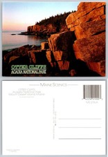 Maine Scenics Postcard - High Surf Along Ocean Drive, Acadia National Park (MS 1016) — listing 5