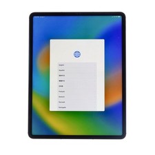 Apple iPad Pro 12.9-inch (5th Generation) 256GB Wi-Fi + Cellular Space Gray — listing 5