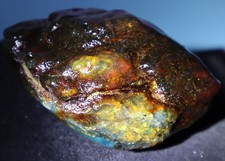 Polished Amber or Copal Rough Specimen with Natural Inclusions — listing 4