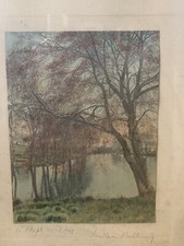 Wallace Nutting Hand-Colored Photograph "Beech Borders" — listing 5