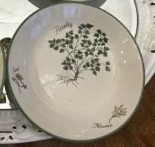 Over and Back Italian Ceramic Herb Botanical Rim Soup/Pasta Bowl - Parsley Pattern — listing 4