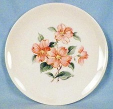 Universal Potteries Ballerina Oven-Proof Dinnerware Plate in Sage Green — listing 4
