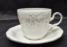 Johann Haviland Bavaria Germany Porcelain Teacup and Saucer with Platinum Trim — listing 3