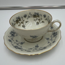 Johann Haviland Bavaria Germany Porcelain Teacup and Saucer with Platinum Trim