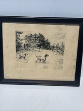 Vintage Print of a Setter/Pointer Hunting Dog, Signed 'Rosseau' in Plate