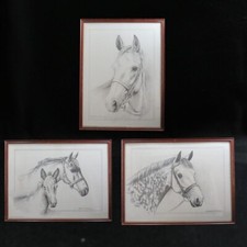 Framed Graphite Pencil Drawing of a Foal, Signed, Double-Matted in Wood Frame — listing 2