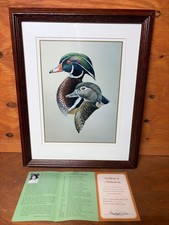 Framed Wood Duck Pair Print, Double-Matted in Black Wood Frame — listing 3