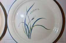 Corelle Coastal Breeze Pattern Dinner Plates Set — listing 4