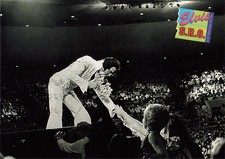 The Elvis Collection Series One 'The Cards of His Life' Trading Card Pack (12 Cards) — listing 5