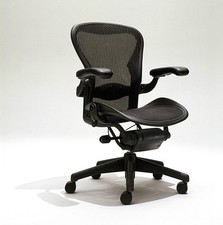 Herman Miller Aeron Task Chair Size B Titanium — listing 4