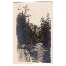 Landscape Photograph Print of Rocky Mountain Stream with Mossy Boulders, Appears Smoky Mountains Style