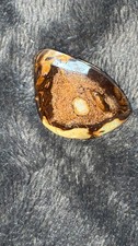 Australian Boulder Opal Freeform Cabochon with Play-of-Color — listing 3