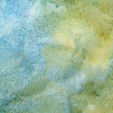 Dewdrop Forest Metallic Cotton Quilting Fabric Yardage (57.26" / FBY90209) — listing 2