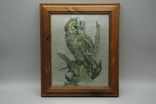 Framed Black & White Print of Two Owls Perched on a Branch — listing 2