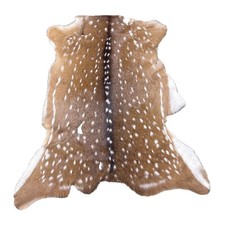 Natural Spotted Deer Hide Rug (Axis Deer Style), Approx 4-5 ft, Taxidermy Animal Skin — listing 3