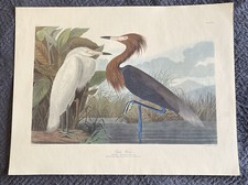 Framed Audubon 'Blue Crane or Heron' Plate CCCVII Reproduction Print — listing 4