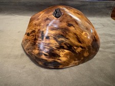 Polished Wood Burl Specimen / Natural Freeform Decorative Object