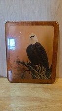 Framed Bald Eagle Lithograph Print Signed Fenske — listing 2