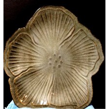 Pfaltzgraff Painted Poppies Stoneware Plates Set of 2 — listing 6