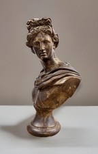 Apollo Belvedere Bronze-Tone Bust on Marble Base — listing 5