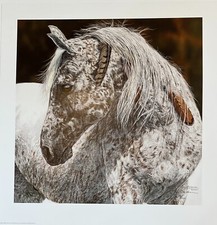 Judy Larson Signed Framed Wildlife Art Print - Appaloosa Horses in Birch Forest (Camouflage / Hidden Image)