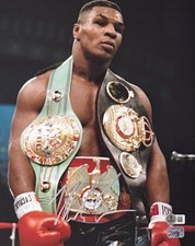 Framed Mike Tyson Signed Boxing Trunks Display with Photo Montage and WBC Belt Graphic — listing 3