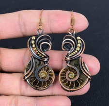 Cut and Polished Ammonite Fossil Sterling Silver Drop Earrings, 1 1/2" Fossil