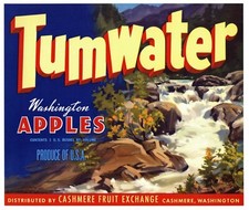 Vintage Mt. Cashmere Brand Apple Crate Label - L.E. Larson, Wenatchee, Washington — listing 4