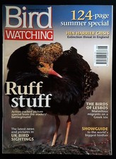 Ruff Stuff Vintage Adult Magazine, Volume One Number One — listing 2