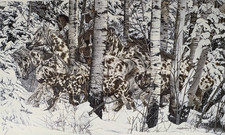 Judy Larson Signed Framed Wildlife Art Print - Appaloosa Horses in Birch Forest (Camouflage / Hidden Image) — listing 6