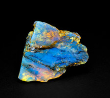 Polished Amber or Copal Rough Specimen with Natural Inclusions