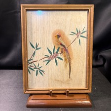 Vintage Mexican Feathercraft Bird Picture with Real Feathers in Gilt Wood Frame — listing 3