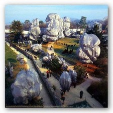 Framed Color Photograph of Wrapped Trees at Sunset (Christo 'Wrapped Trees' subject) — listing 4