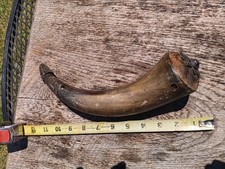 Antique Style Powder Horn with Brass Spout and Wooden Plug