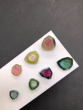 Watermelon Tourmaline Slice Cabochon in Display Case
