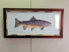 Framed Decorative Print of Brown Trout (Salmo Trutta) on Faux-Weathered Wood Background